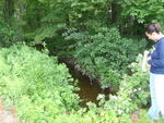 Multiple Culvert Crossing, Scitterygusset Creek at Middle Rd, Falmouth, Maine