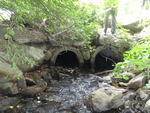 Multiple Culvert Crossing, Scitterygusset Creek at Mitchwood Rd, Falmouth, Maine