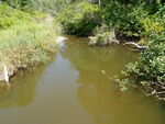 Multiple Culvert Crossing, Silver Brook at Broad Rd, Scarborough, Maine
