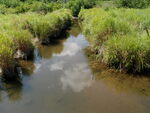 Multiple Culvert Crossing, Silver Brook at Broad Rd, Scarborough, Maine
