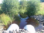 Multiple Culvert Crossing, Skunk Knoll Brook at Mighty Road, Gorham, Maine