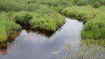 Multiple Culvert Crossing, South Crooked Brook at Route 1, Danforth, Maine