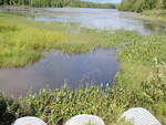 Multiple Culvert Crossing, Spectacle Pond at Route 6 & 15, Monson, Maine