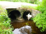 Multiple Culvert Crossing, Spencer Brook at East Range Rd, Limerick, Maine