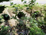 Multiple Culvert Crossing, Stevens Brook at Church Rd, New Gloucester, Maine