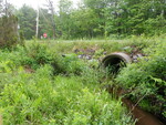 Multiple Culvert Crossing, Stuart Brook at Ash Swamp Rd, Scarborough, Maine
