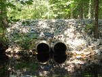 Multiple Culvert Crossing, Sucker Brook at Cole Rd, Kennebunk, Maine
