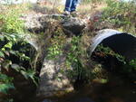 Multiple Culvert Crossing, Swan Pond Brook at Dennit Rd, Dayton, Maine