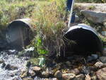Multiple Culvert Crossing, Swan Pond Brook at Dennit Rd, Dayton, Maine