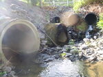 Multiple Culvert Crossing, Tannery Brook at Route 114, Gorham, Maine