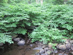 Multiple Culvert Crossing, Tannery Brook at Wilson Pond Rd, Monmouth, Maine
