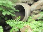 Multiple Culvert Crossing, Tannery Brook at Wilson Pond Rd, Monmouth, Maine