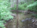 Multiple Culvert Crossing, Tannery Brook at Wilson Pond Rd, Monmouth, Maine