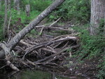 Multiple Culvert Crossing, Tannery Brook at Wilson Pond Rd, Monmouth, Maine