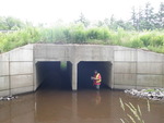 Multiple Culvert Crossing, Thacher Brook at I95, Biddeford, Maine