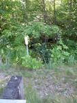 Multiple Culvert Crossing, Tingley Brook at Route 302, Naples, Maine