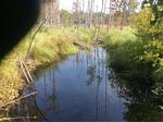 Multiple Culvert Crossing, Trib To Nezinscot River at Center Bridge Rd, Turner, Maine