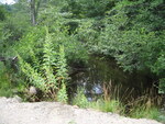 Multiple Culvert Crossing, Trout Brook at Unnamed, Alna, Maine