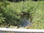Multiple Culvert Crossing, Twelvemile Brook at Horseback Rd, Clinton, Maine