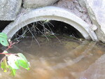 Multiple Culvert Crossing, Twelvemile Brook at Horseback Rd, Clinton, Maine