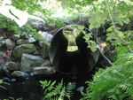 Multiple Culvert Crossing, Ward Brook at Dickenson Rd, Wiscasset, Maine