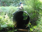Multiple Culvert Crossing, Ward Brook at Dickenson Rd, Wiscasset, Maine