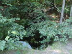 Multiple Culvert Crossing, Ward Brook at Dickenson Rd, Wiscasset, Maine