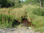 Multiple Culvert Crossing, Ward Brook at Foye Rd, Wiscasset, Maine