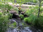 Multiple Culvert Crossing, West Branch at Route 17, Somerville, Maine