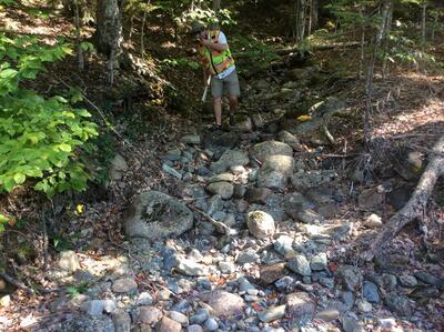 image preview