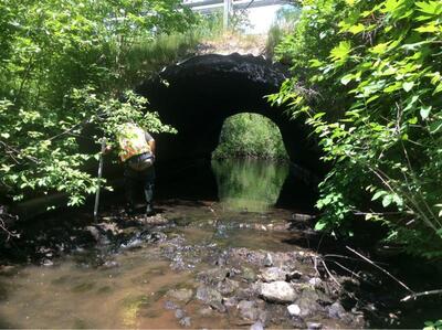 image preview