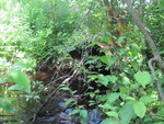 Culvert Crossing at Alder Park, China, Maine