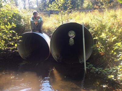 image preview