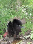 Culvert Crossing at Bailey Hill Road, Farmington, Maine