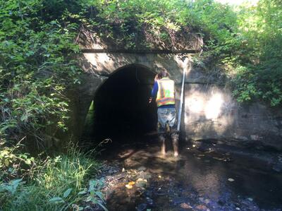 image preview
