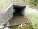 Culvert Crossing, Dog Brook, Houlton, Maine