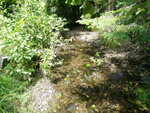 Culvert Crossing, Limestone Brook, Smyrna, Maine