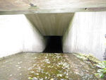 Culvert Crossing, Limestone Brook, Smyrna, Maine