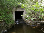 Culvert Crossing, Limestone Brook, Smyrna, Maine