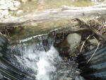 Culvert Crossing, Linneus, Maine