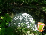 Culvert Crossing, Linneus, Maine