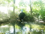 Culvert Crossing, Linneus, Maine