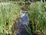 Culvert Crossing, Monticello, Maine