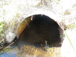 Culvert Crossing, Monticello, Maine