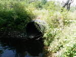 Culvert Crossing, Littleton, Maine