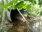 Culvert Crossing, Dog Brook, Houlton, Maine