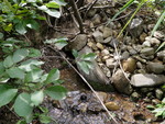 Multiple Culvert Crossing, Littleton, Maine