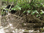 Multiple Culvert Crossing, Littleton, Maine