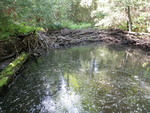 Culvert Crossing, Monticello, Maine