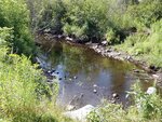 Multiple Culvert Crossing, Dead Brook, Bridgewater, Maine